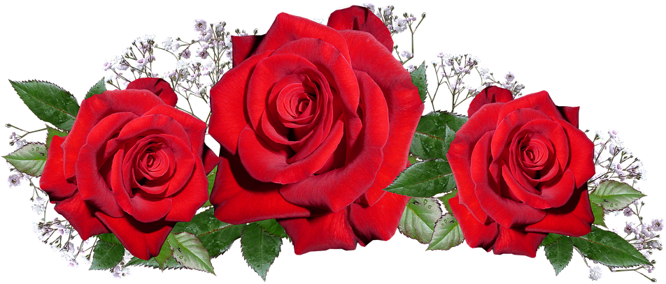 Roses, Red, Romantic, Anniversary, Love - Annaprasana Invitations (960x427)