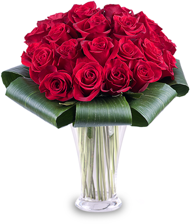 25 Red Roses - Arrangements Of Roses Red (480x480)