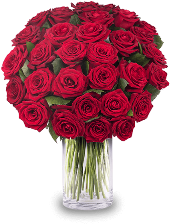 Drunk In Love - Ramo De Rosas Rojas (480x480)