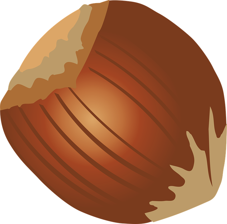 Hazelnut Clipart Brown Fruit - Hazelnut (728x720)