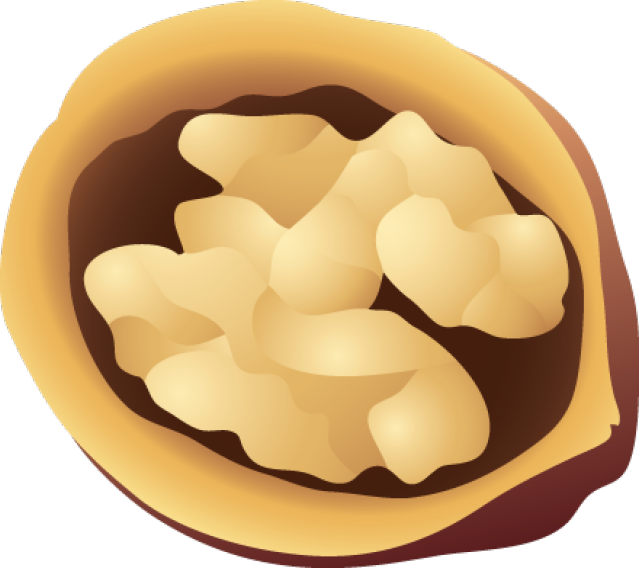 Walnut Clipart Cute - Free Walnut Vector Png (639x568)