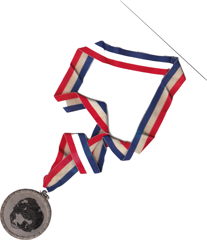 Bronze Medal (708x819)