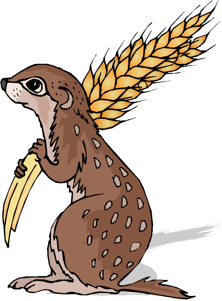 Chipmunk Animal Cliparts - Court Il Court Le Furet (750x1015)