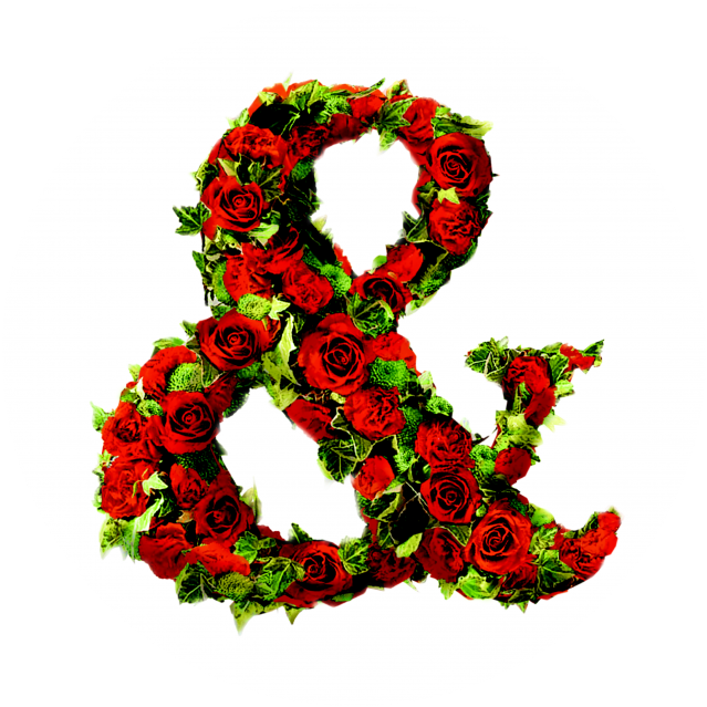 Holmes & Family - David Holmes (654x654)