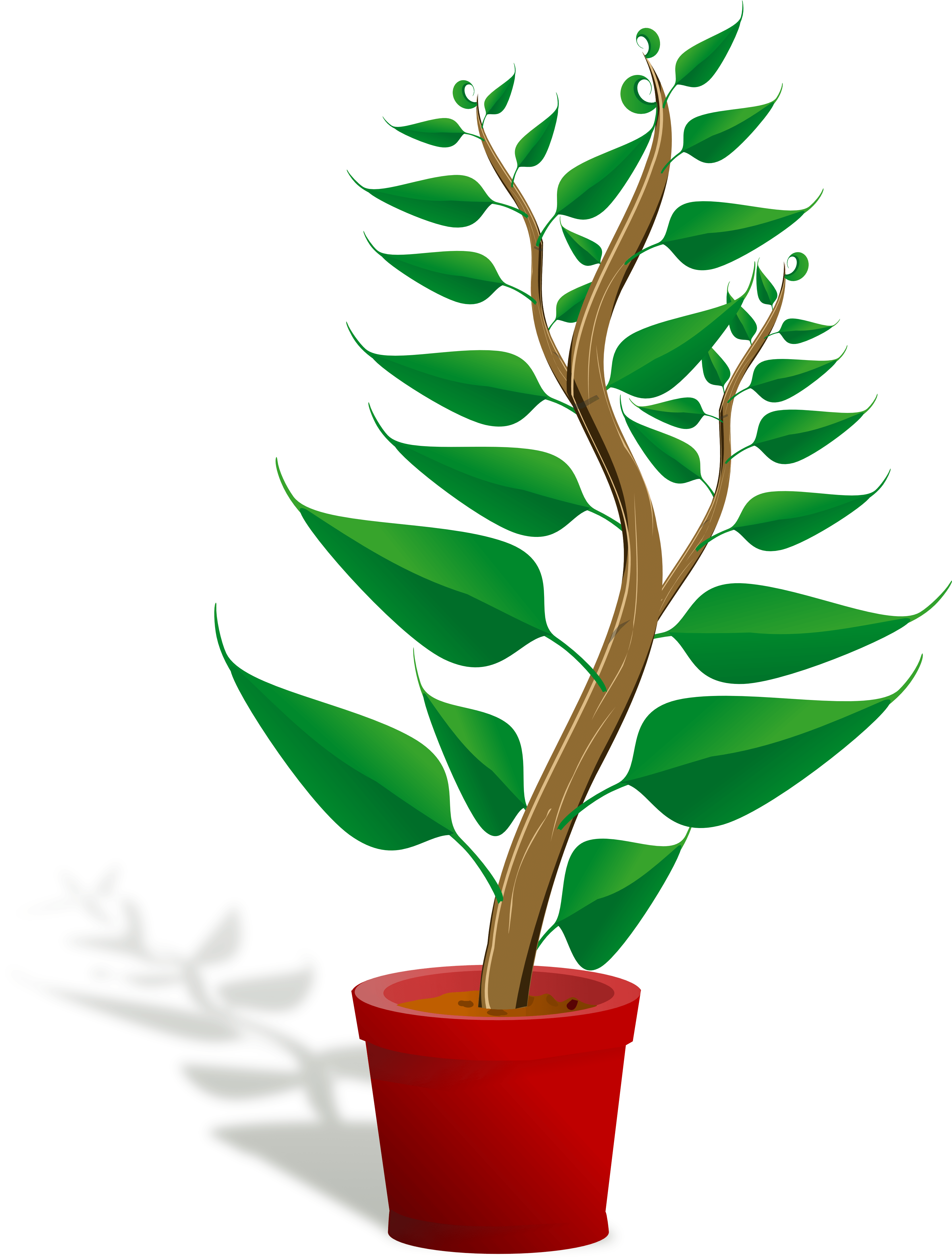 Clip Art Plant - Getting To Know Plants (3333x4384)
