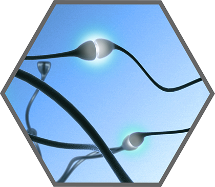 Img - Memory (420x365)