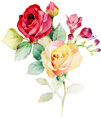 0 7c19c 708660f4 L - Rose Watercolor Painting Png (443x500)