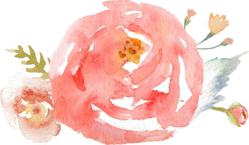 Sb Flower3 - Pastel Floral Background Iphone 6 (800x465)