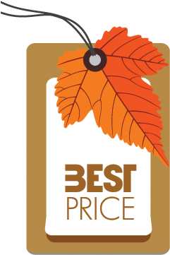 Bảng Giá Sơn Tinh Camp - Vector Graphics (393x393)