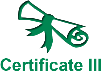 Certificate 3 (427x300)