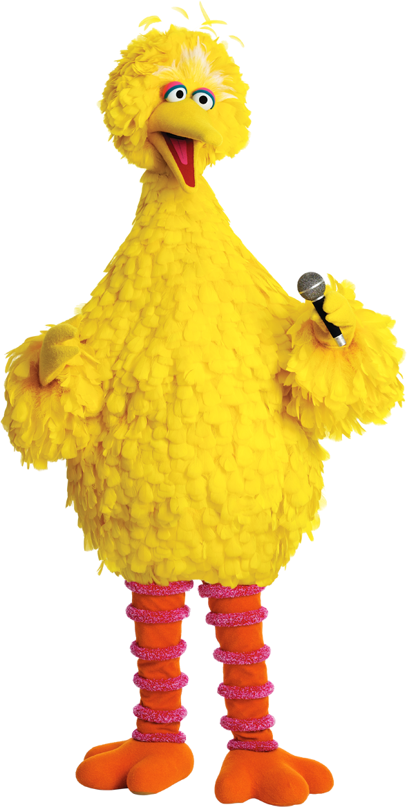 Big Bird Sesame Street (646x1200)