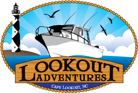 Lookoutadventures Logo - Boat Tour (459x314)