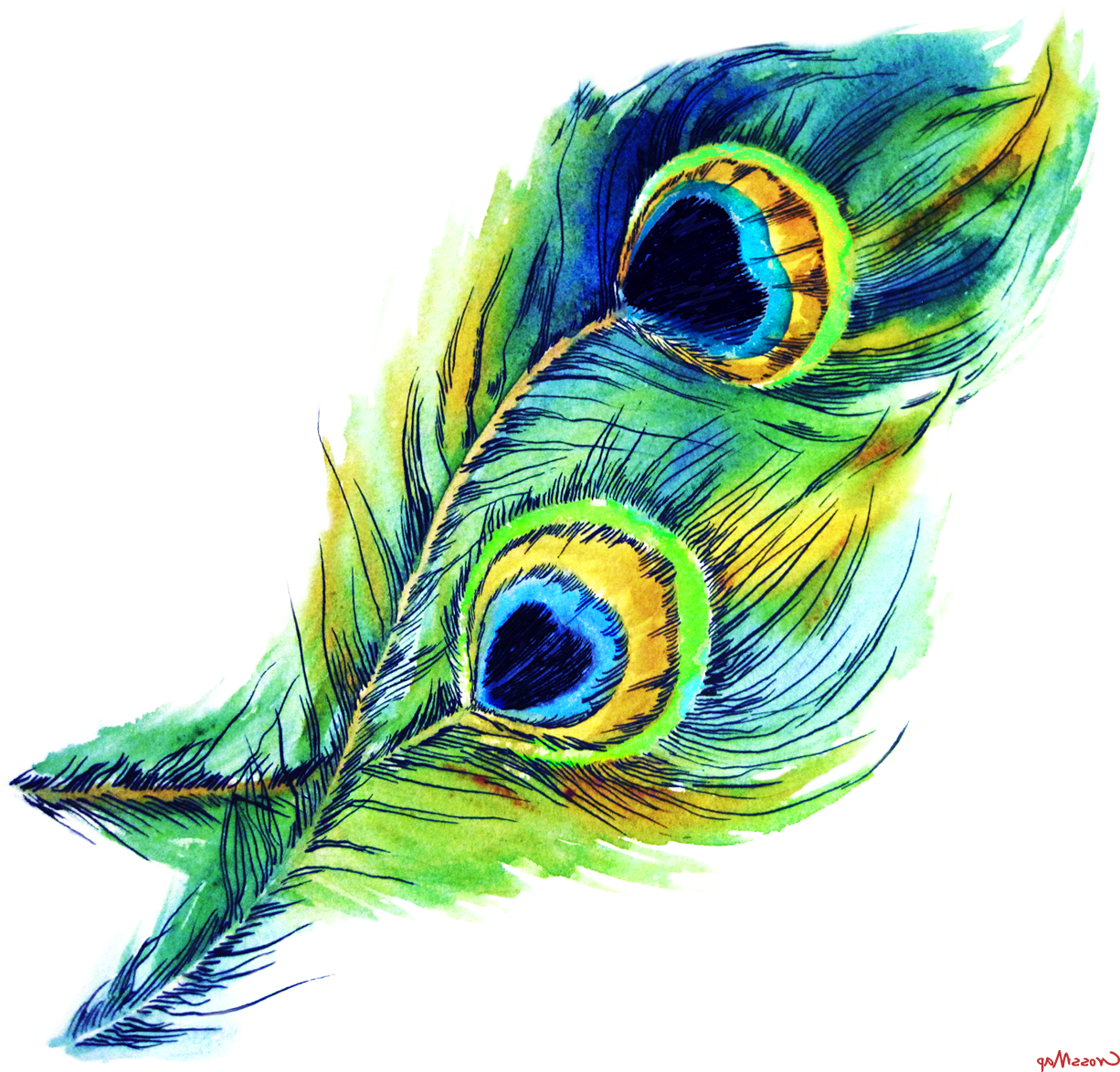 Peacock Feather - Krishna Preme [audio Cd] Rajkumar Roy (1353x1281)