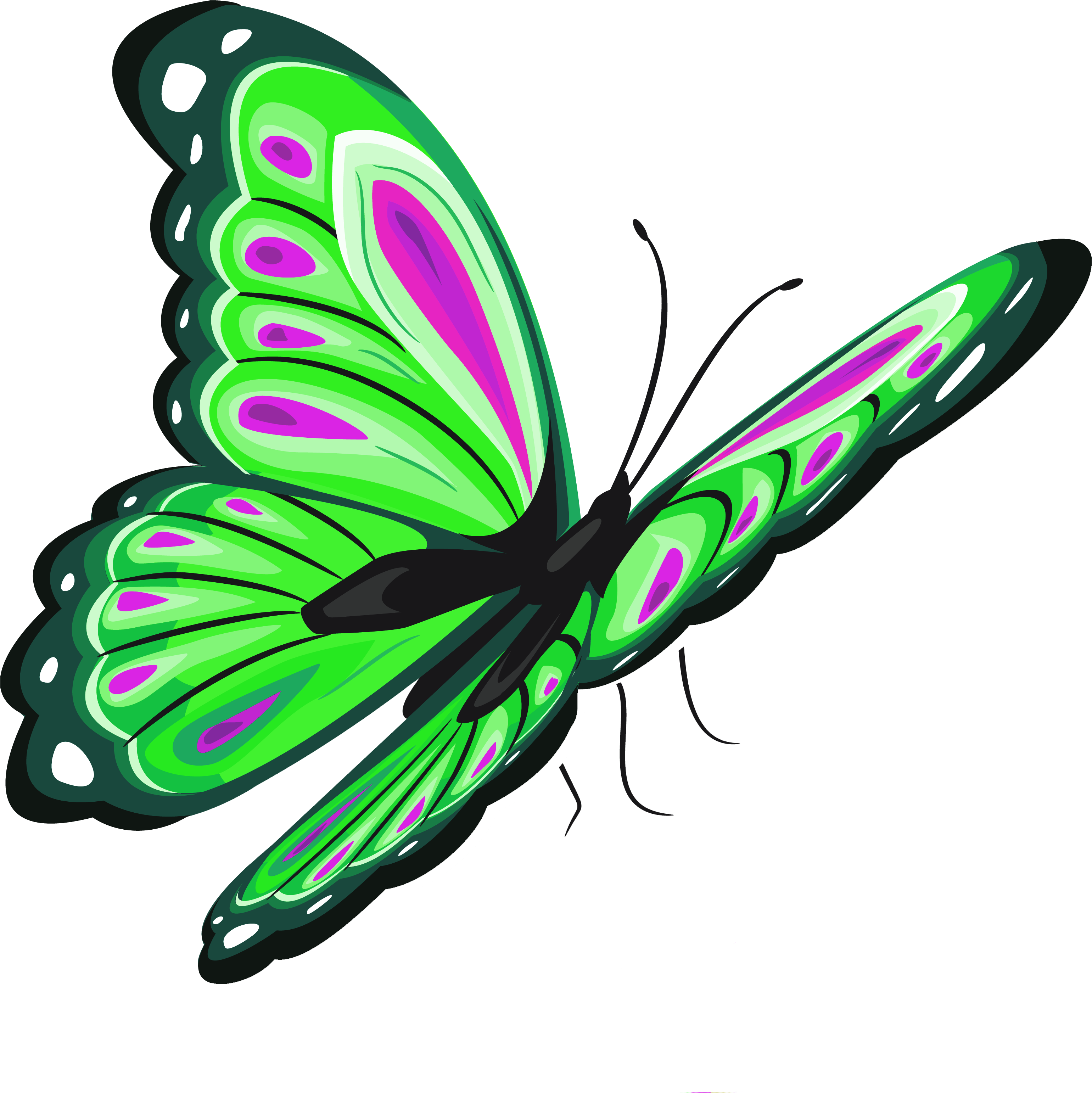 Green And Pink Butterfly Png Clipart Picture - Бабочки Png (3804x3632)