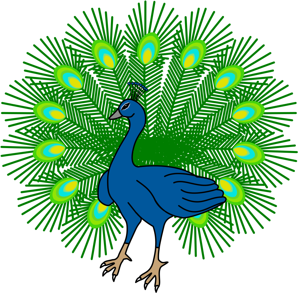 Feather Clip Art Download - Peafowl (1041x1024)