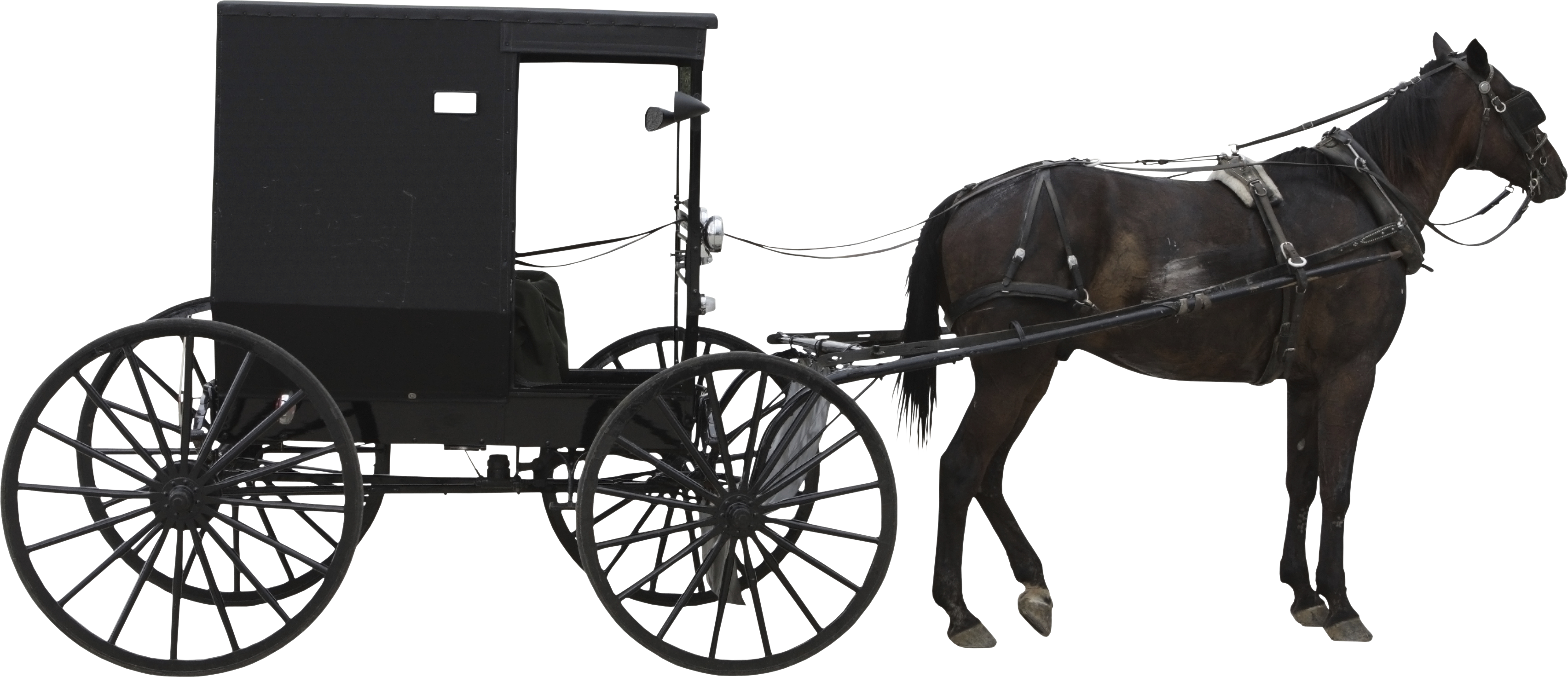 Horse And Cart - Horse And Cart Png (3407x1471)