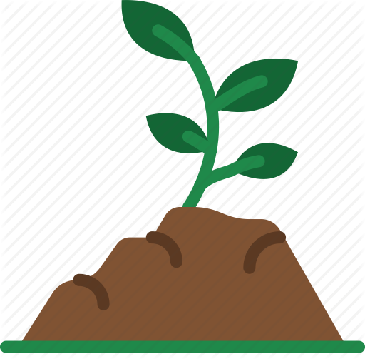 Plant Tree Growing Seedling In Soil Isolated On White - Soil Fertility (512x503)