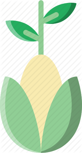 Coir Seed Starting Soil Mix - Heart (277x512)