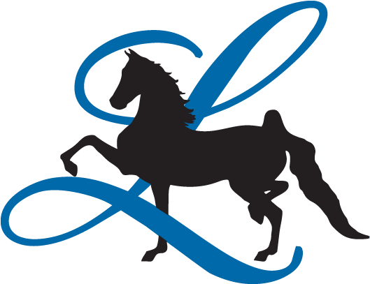 The American Saddlebred Legacy Foundation - Horse (553x420)