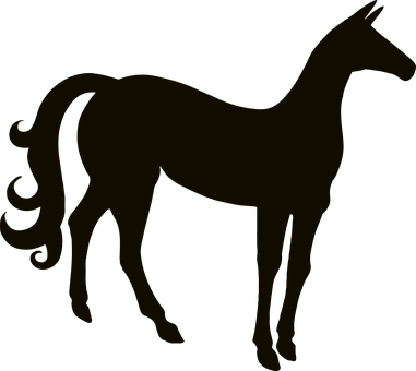 Animal, Animals, Equine, Horse - Black Horse Silhouette Png (381x340)