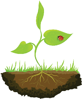 Growing Shoots Out Of The Ground - Stock Illustration (399x399)