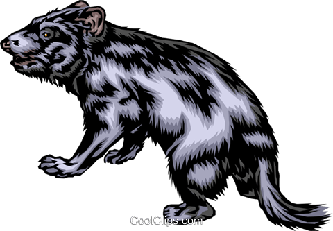 Lobo Da Tasmânia Livre De Direitos Vetores Clip Art - Tasmanian Devil (480x333)