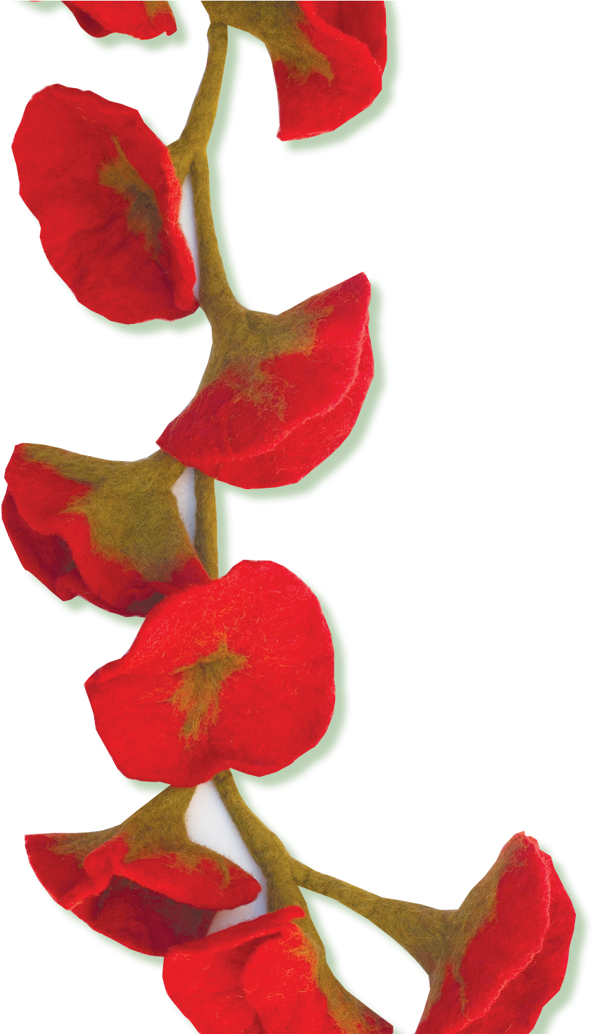 Felted Flower Scarves - Anthurium (1001x1502)