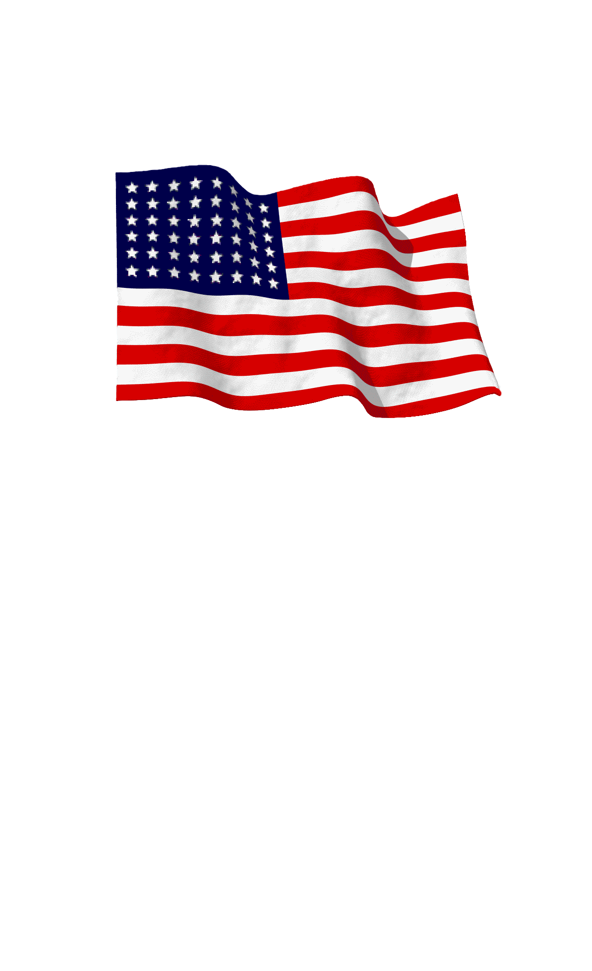 American Flag Download - Usa Flag Gif Transparent (1147x1153)