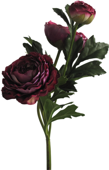 Garden Roses Floral Design Portable Network Graphics - Aesthetic Flower Png (600x600)