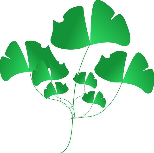 Weeds Plant, Green, Leaves, Nature, Weeds - Clip Art (640x633)