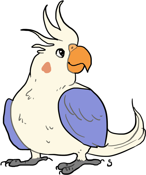 Everything Has Vanished Into A Black Hole - Cockatiel (550x620)