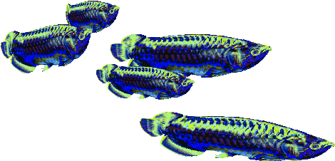Fish Sticker By Badblueprints - Fish School Animated Gif (500x266)