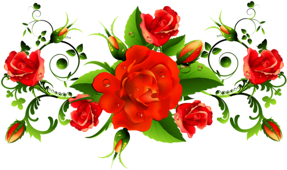 Pink Rose With Water Drops - Happy Women's Day 2018 (600x348)