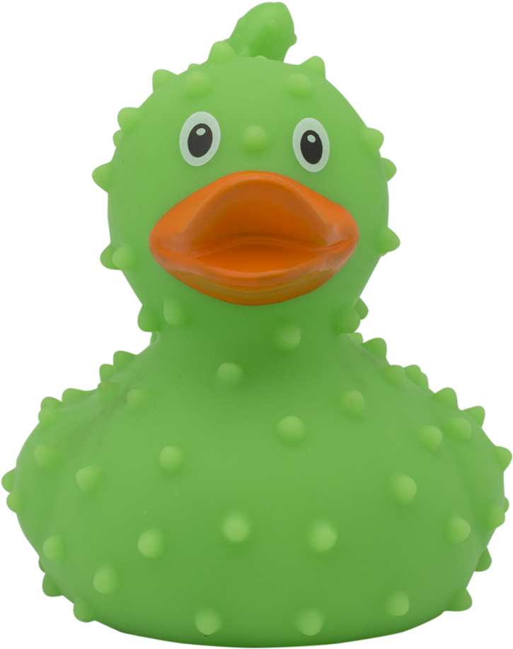 Cactus Rubber Duck By Lilalu - Rubber Duck (1024x1024)