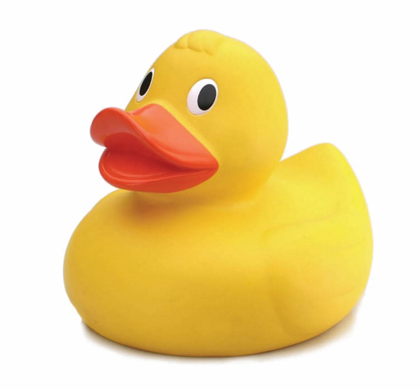 Rubber Duck Png Photo - Bath Duck (862x801)