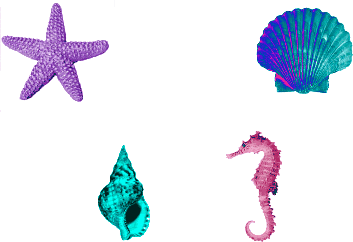 Alien-gun - Northern Seahorse (1280x969)