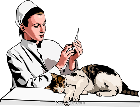 Vet Preparing Injection For Cat Royalty Free Vector - Vet Preparing Injection For Cat Royalty Free Vector (480x366)