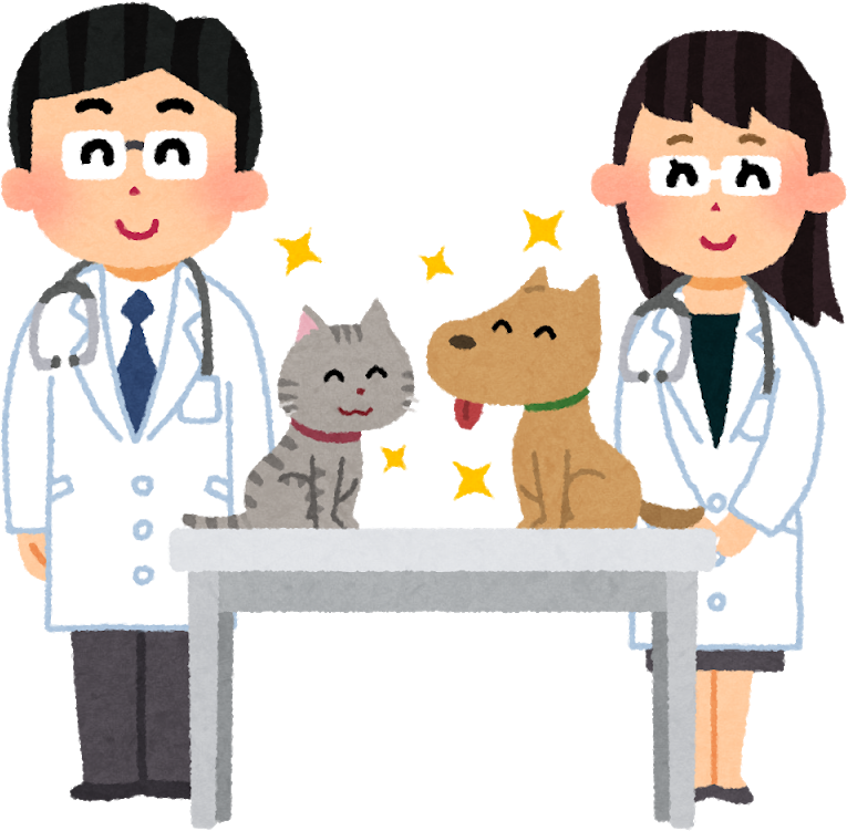 Hospital Veterinarian Caregiver 診療 Internal Medicine - Veterinary Physician (800x800)