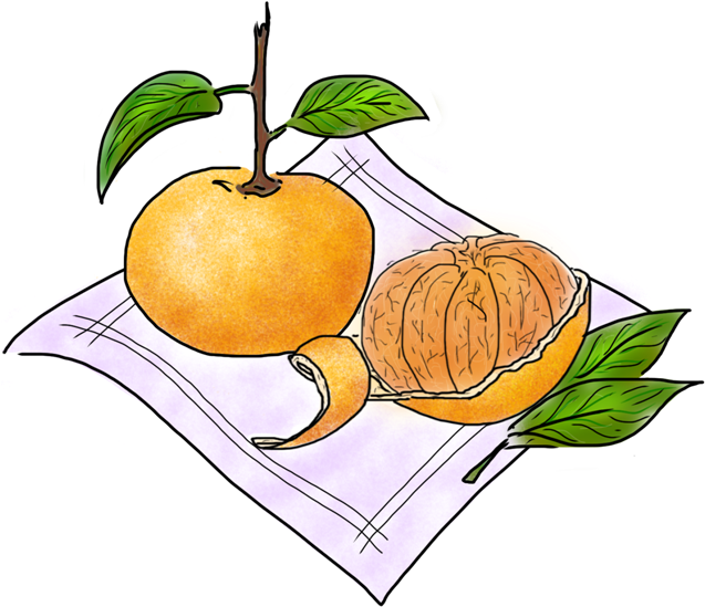 Tangerine - Tangerine (752x702)