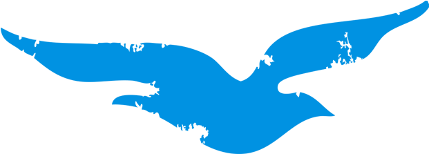 Le Patin Libre Threshold - Lida Winfield (651x417)