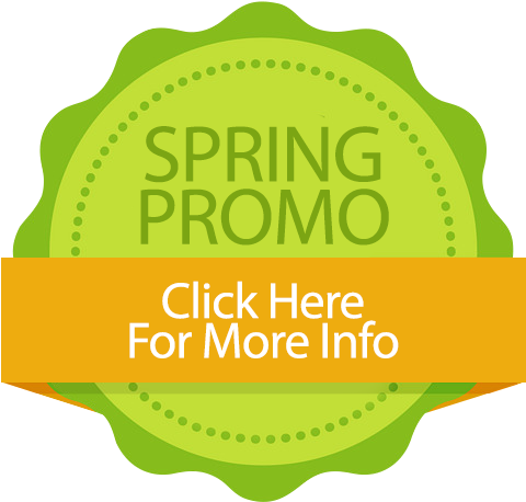 Special Offers - Hotel Ocean Beach Hotel (486x463)