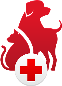 Connect With Us - Red Medical Cross (536x418)