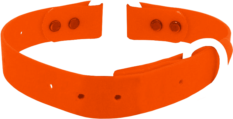 Tangerine Waterproof Collar - Bracelet (880x500)