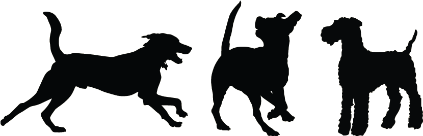 Playing Dog Silhouette Png (850x340)