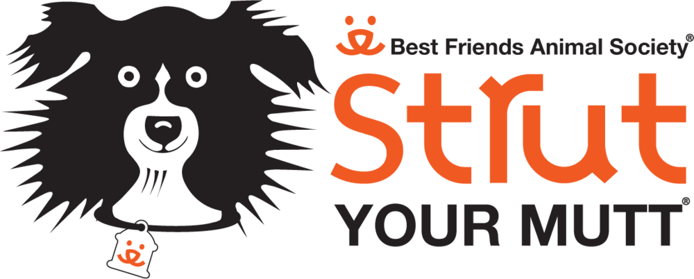 “best Friends Animal Society's Strut Your Mutt Event - “best Friends Animal Society's Strut Your Mutt Event (1000x402)