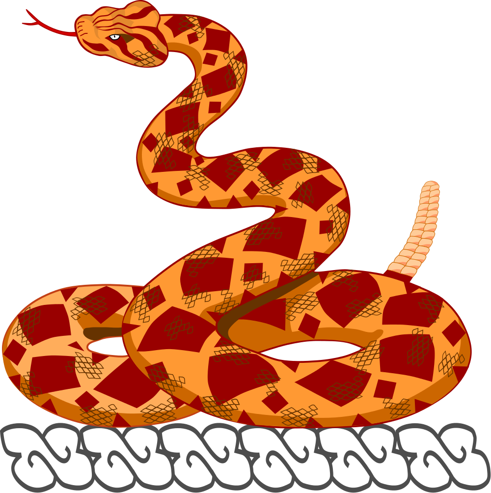 Open - Eastern Diamondback Rattlesnake (2000x2008)