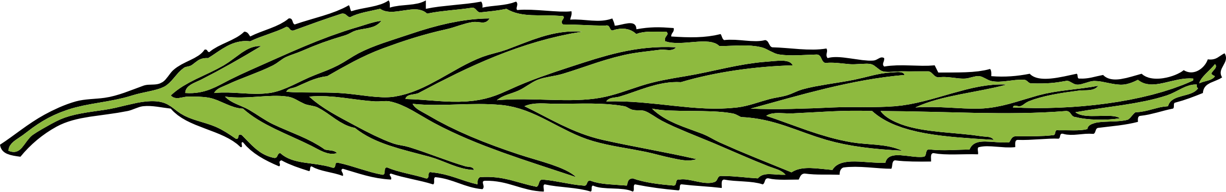 Leaves skins