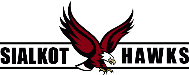 Sialkot Hawks-manufactures & Exporter Of Martial Arts,sports - Boston College Eagles 12'' X 12'' Moveable Decal (653x260)