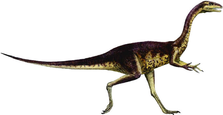 Dinosaur Png - Carnivorous Dinosaurs Names (740x388)