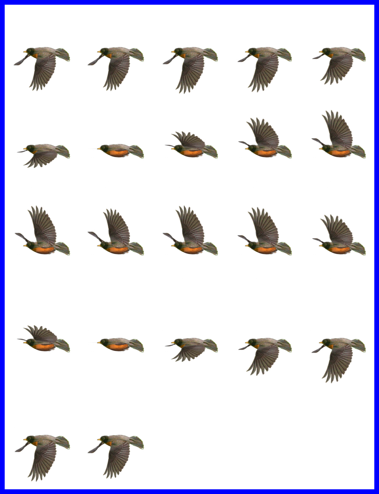 Unbelievable Robin Flying Sprites Image For Bird Cartoon - Flip Book To Print (1230x1600)